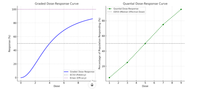 Dose-Response Curve